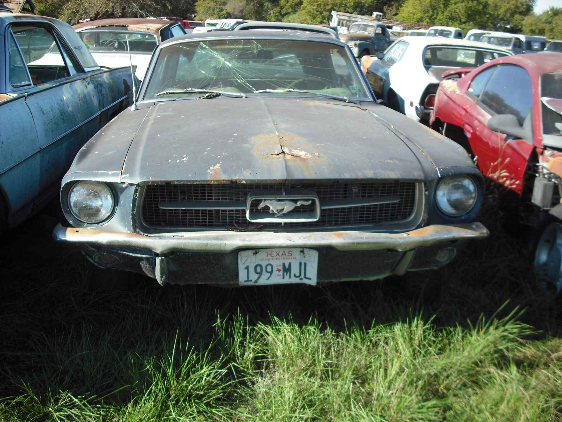 1967 Ford Mustang 